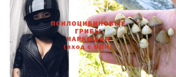 кокс Арсеньев