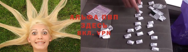спиды Аркадак