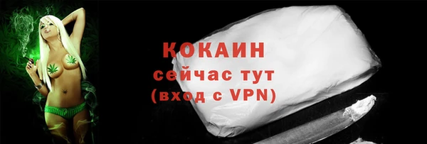 кокс Арсеньев